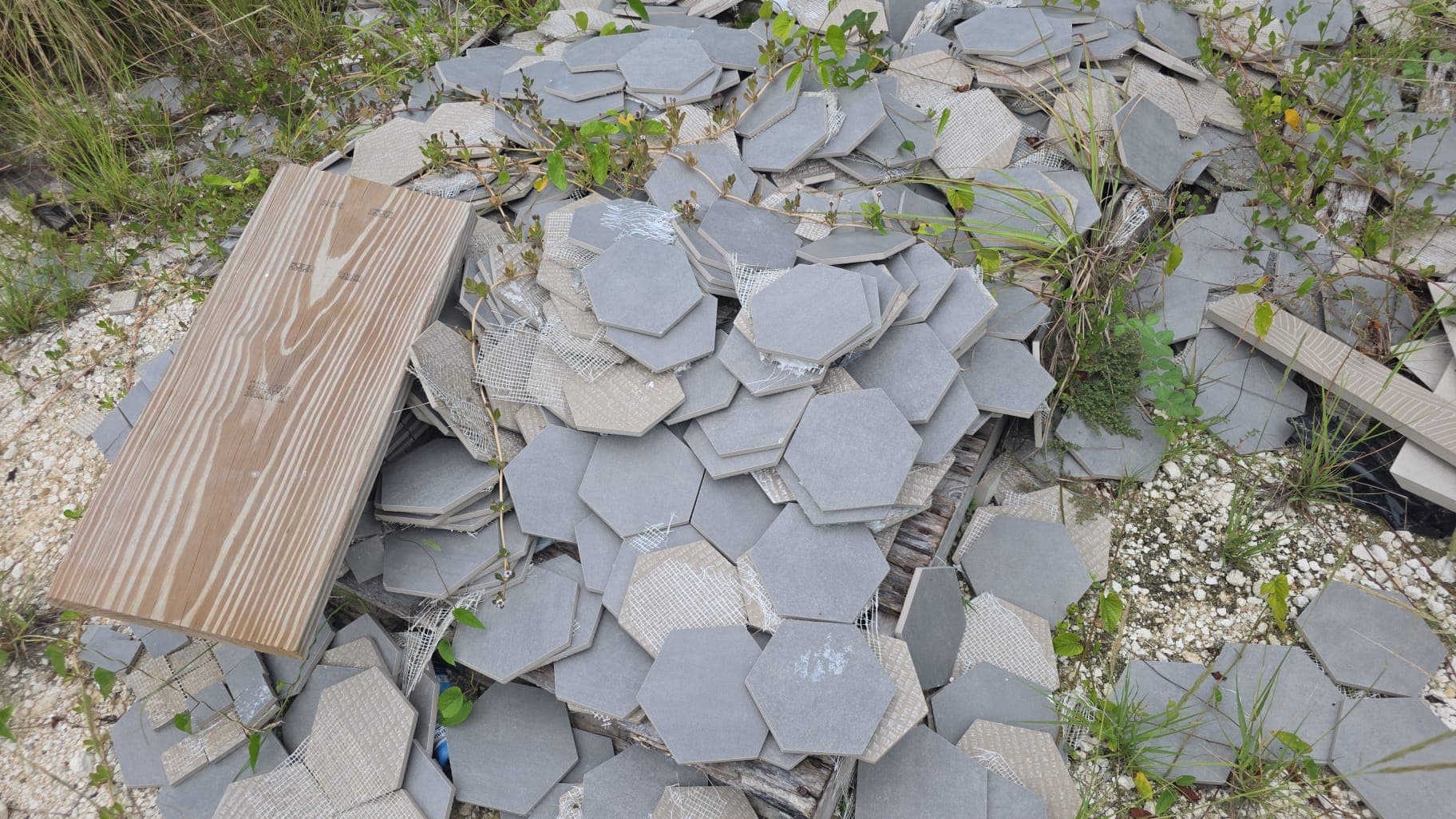 Canal Point Den Renovation - Image 1